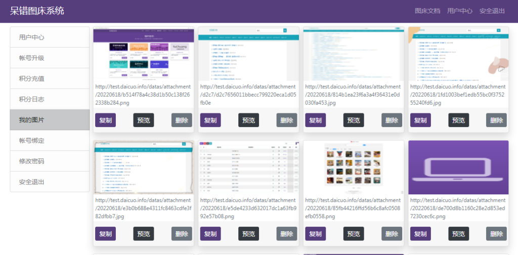 图片[5]-呆错图床系统源码 包含安装教程-CMS模板